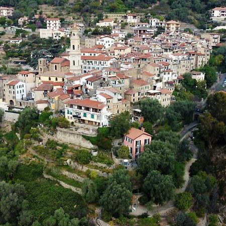 U Ciousu By Ligurian Life Appartamenti In Agriturismo Vallebona Luaran gambar