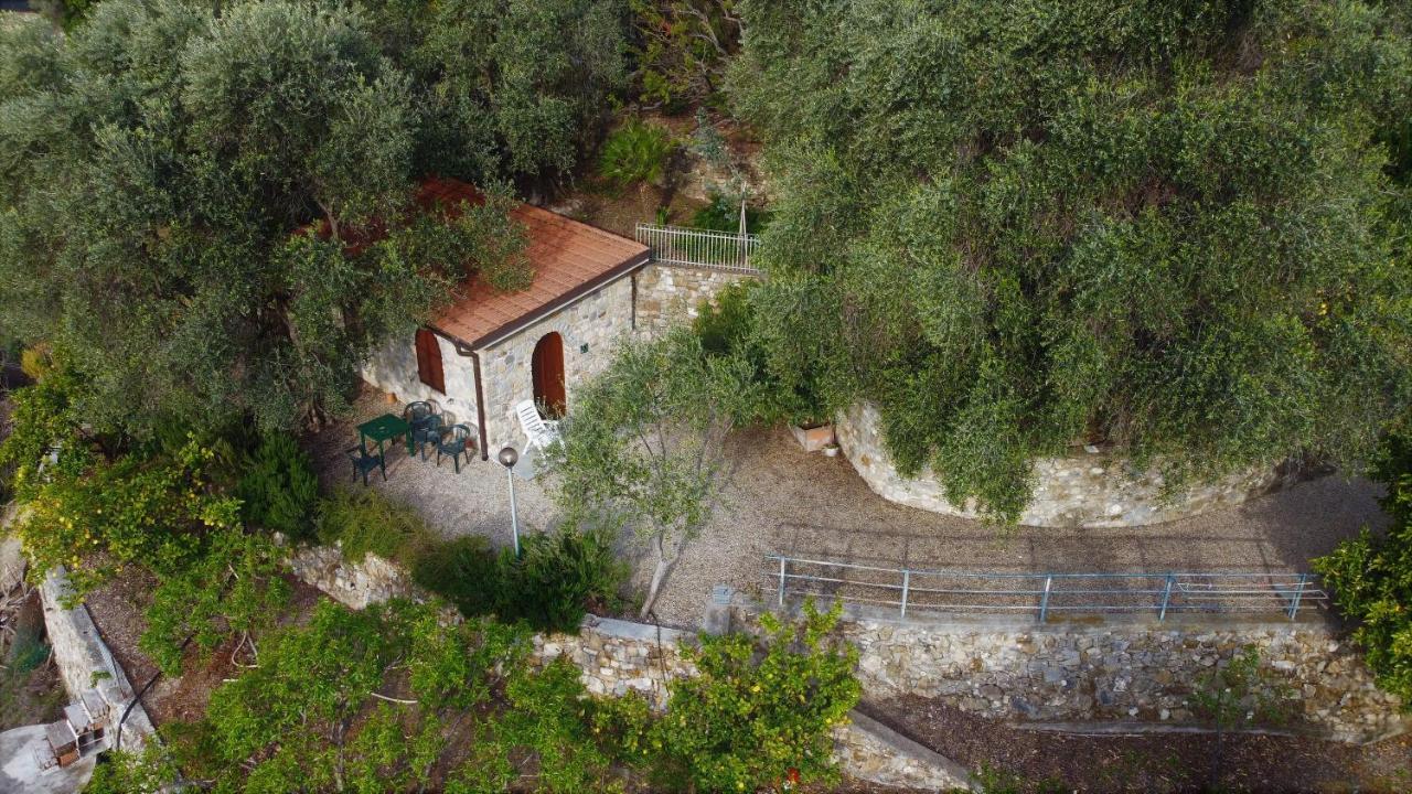 U Ciousu By Ligurian Life Appartamenti In Agriturismo Vallebona Luaran gambar