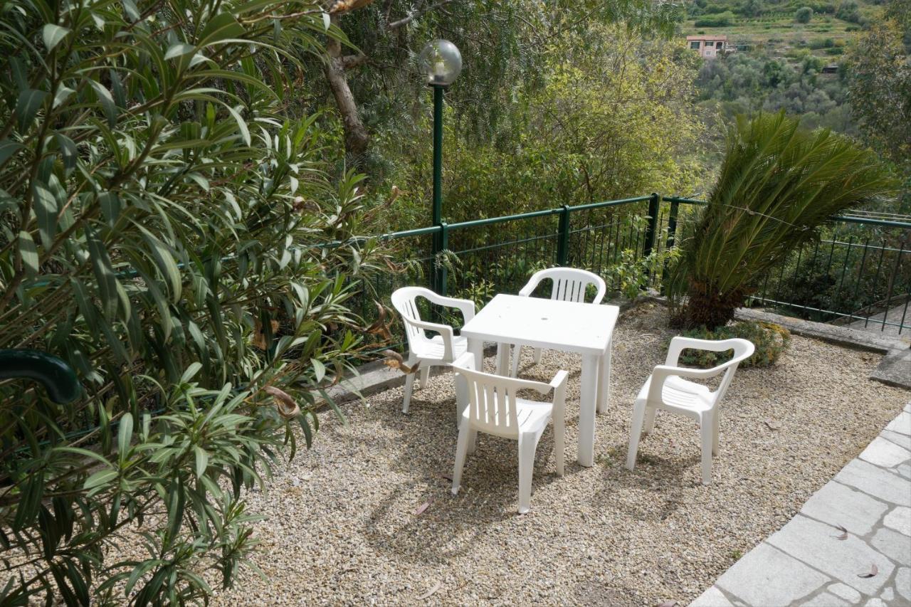 U Ciousu By Ligurian Life Appartamenti In Agriturismo Vallebona Luaran gambar