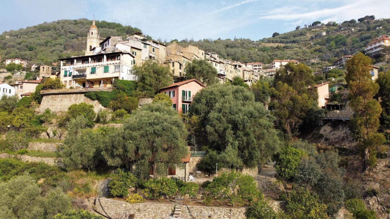 U Ciousu By Ligurian Life Appartamenti In Agriturismo Vallebona Luaran gambar